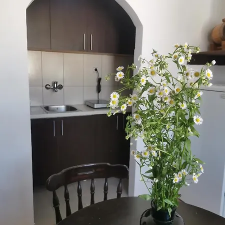 Faris Donji Milanovac